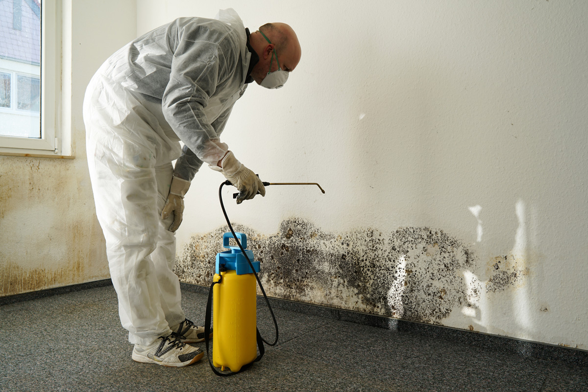 Hygienische Desinfektion einer Oberfläche zur Keimreduktion durch die KOFLER GmbH